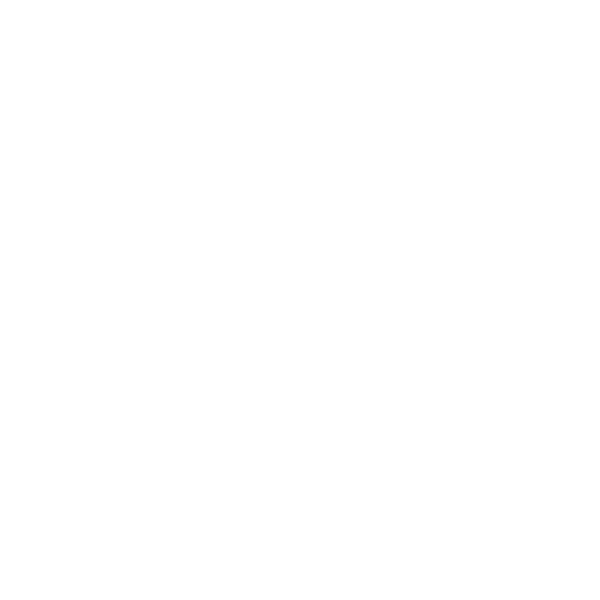 SNEAK